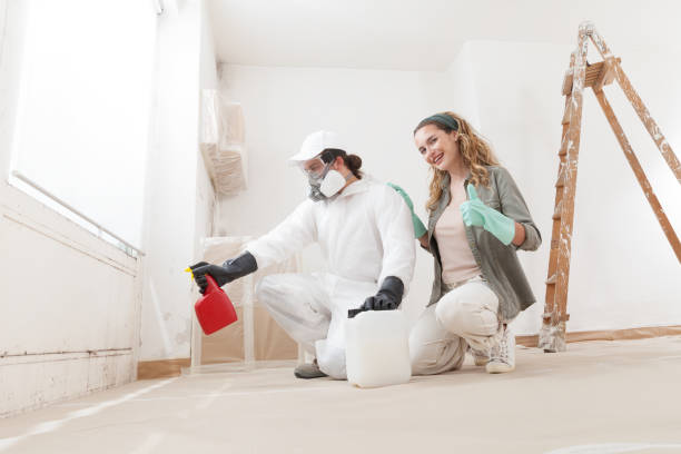 Mold Removal